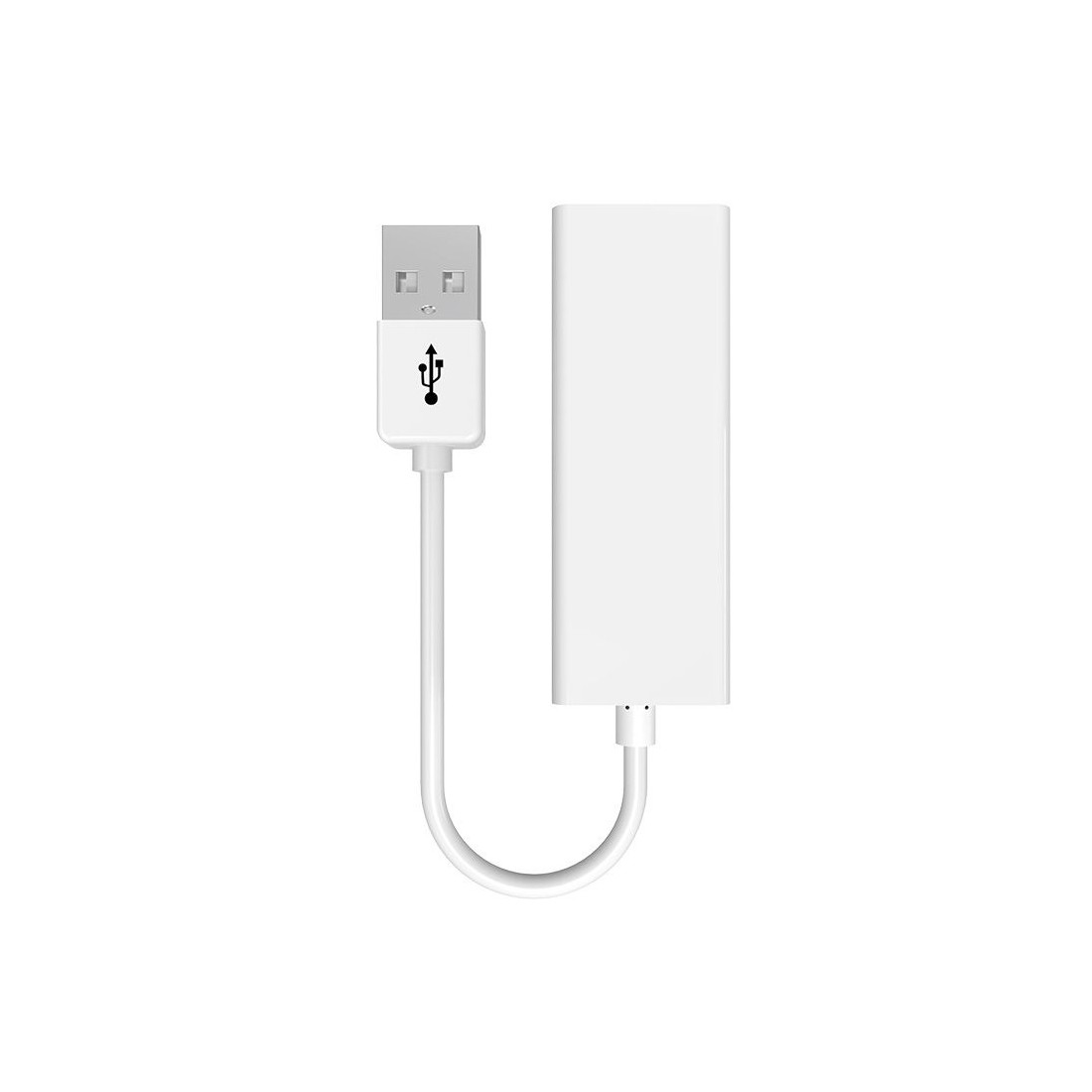 Adaptateur USB-A vers RJ45 (18.5cm) - NB1435