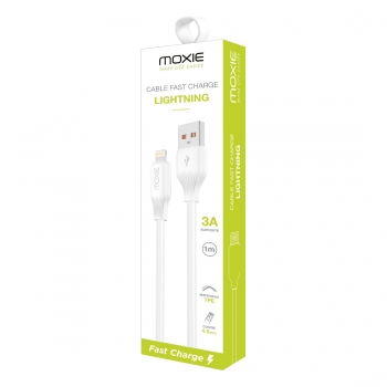 Cable de charge ultra resistant pour iPhone - 1 mètre